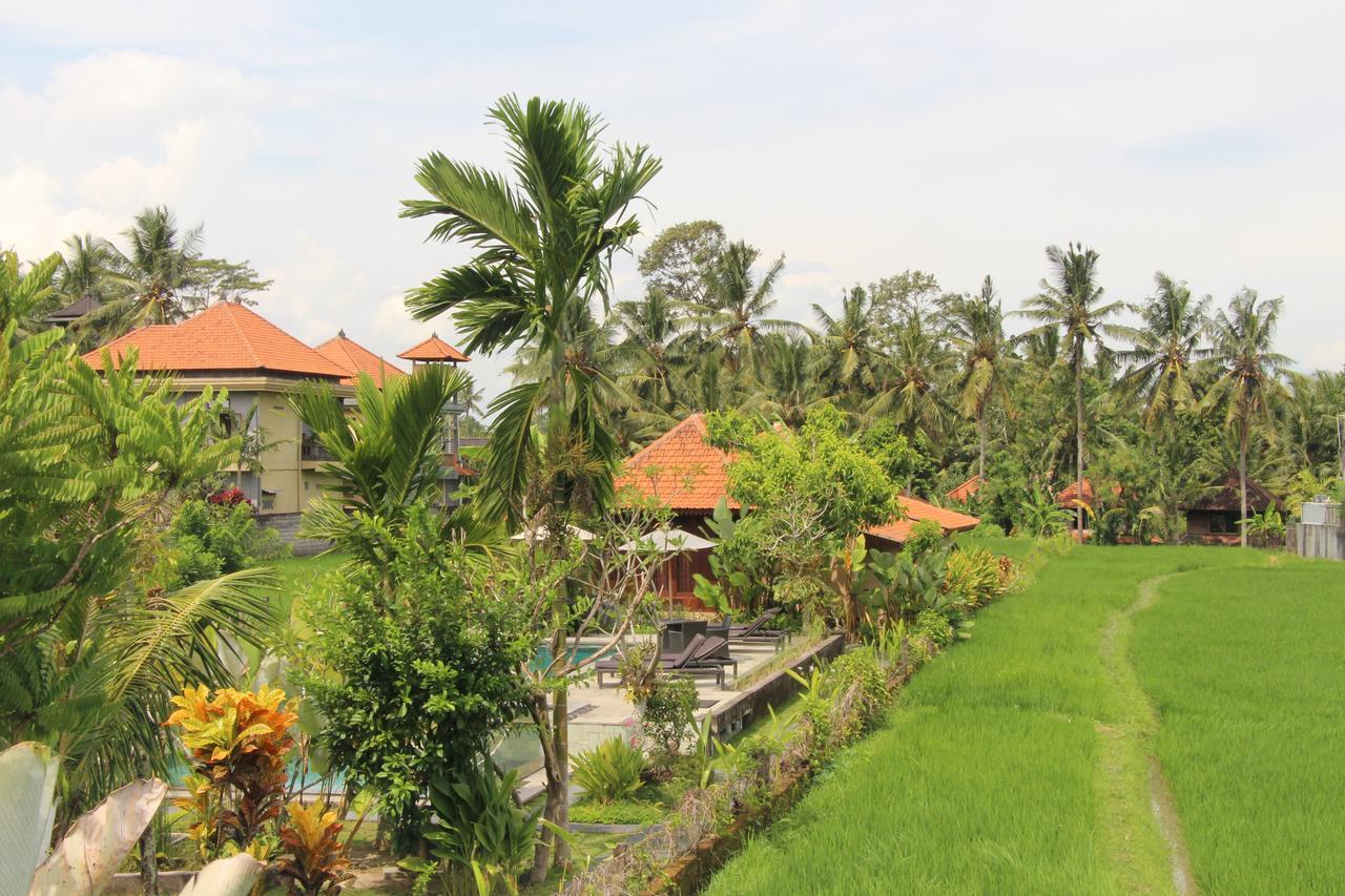 Nur Guest House By Purely Ubud Exteriör bild